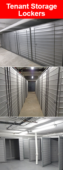 tenant-basement-storage-lockers